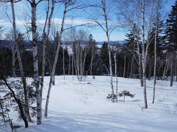 M13/L37 Barbara Lane , Sandy River Plt, ME 04970