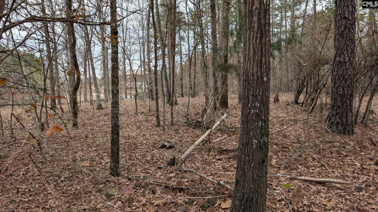 Lot 2 Retreat Way  Photo 11