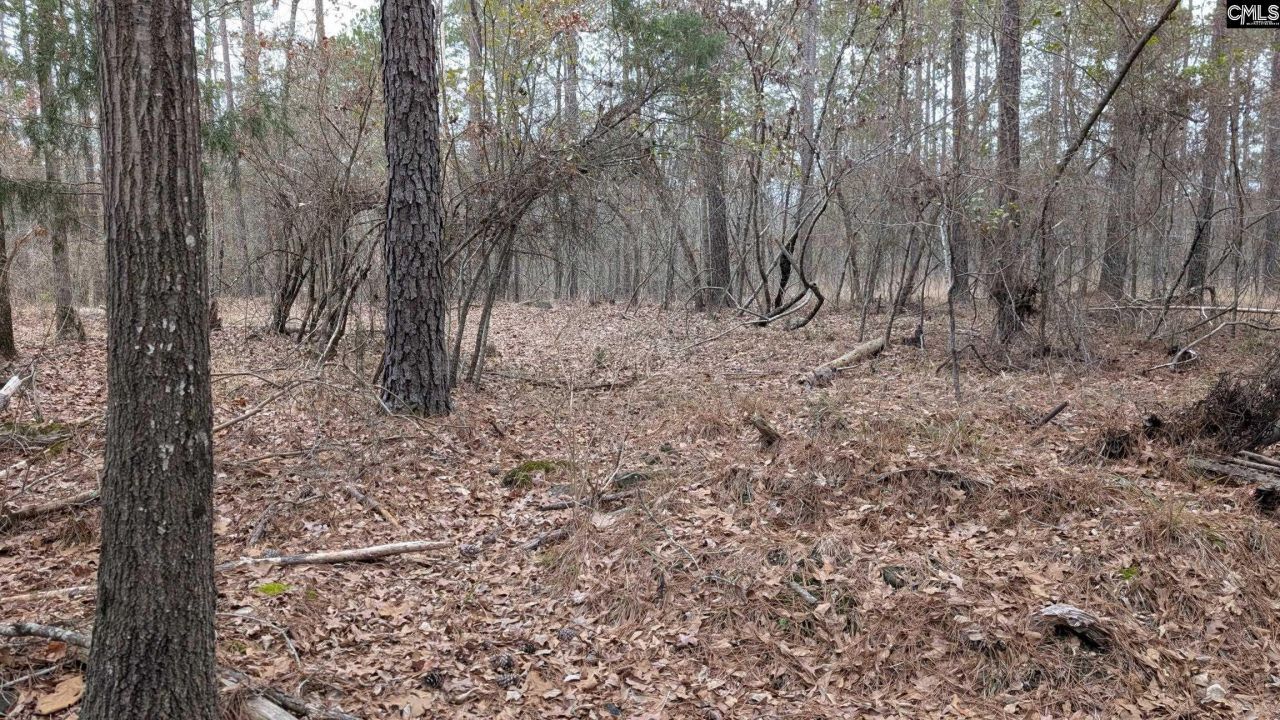 Lot 2 Retreat Way  Photo 12