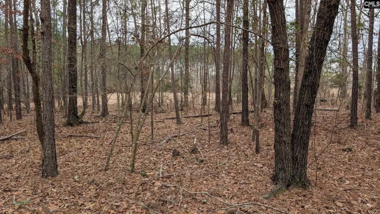 Lot 2 Retreat Way  Photo 13