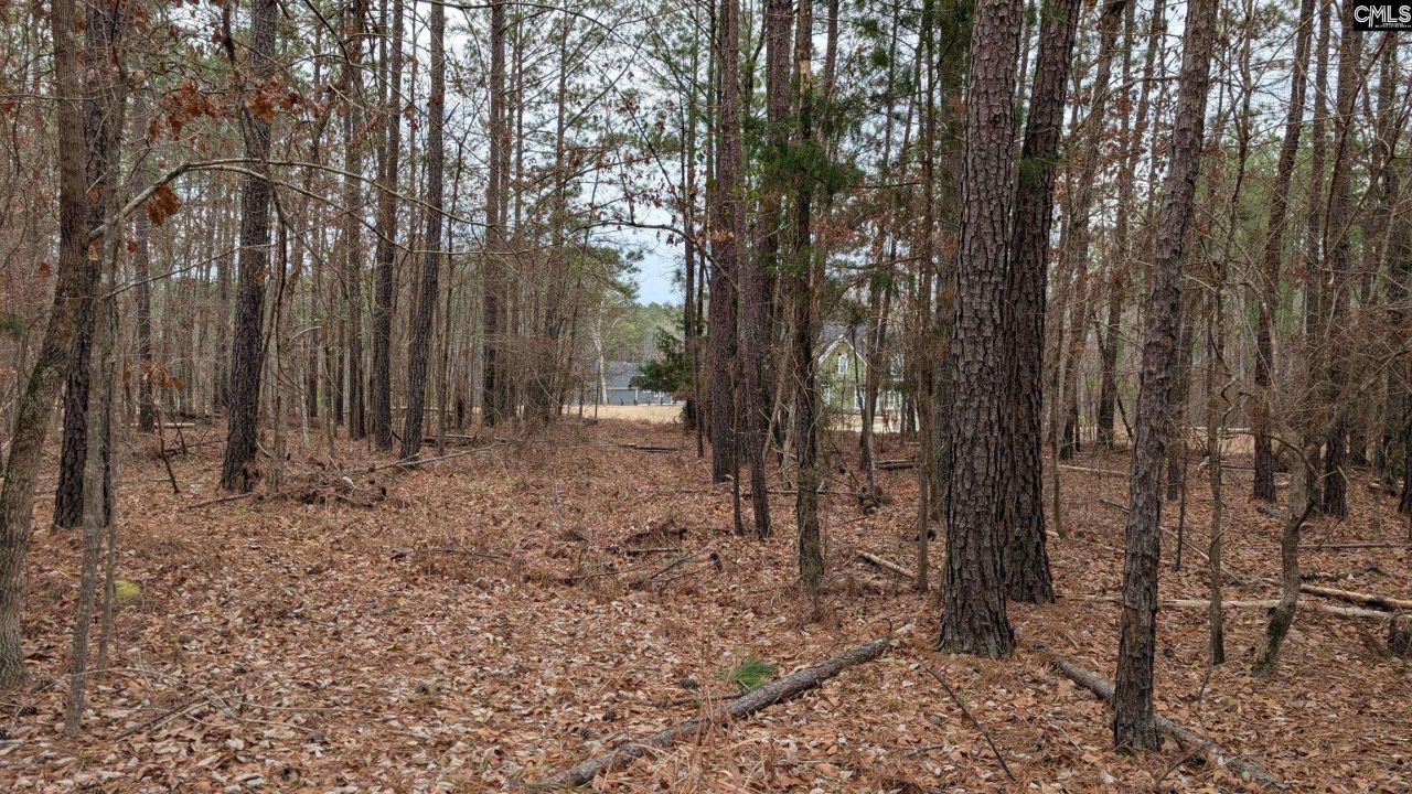 Lot 2 Retreat Way  Photo 14