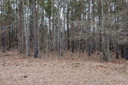 Lot 2 Retreat Way  photo 4