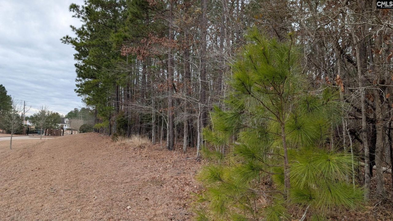 Lot 2 Retreat Way  Photo 21