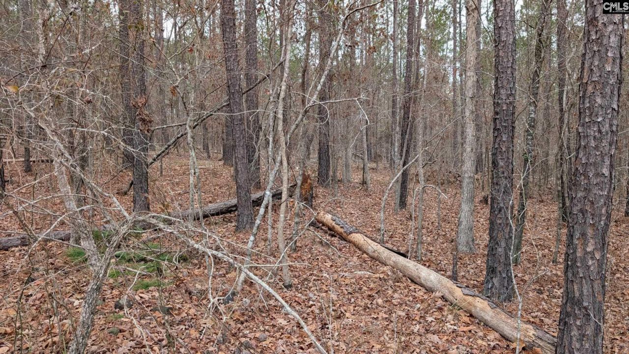 Lot 2 Retreat Way  Photo 23