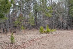 Lot 2 Retreat Way  photo 4