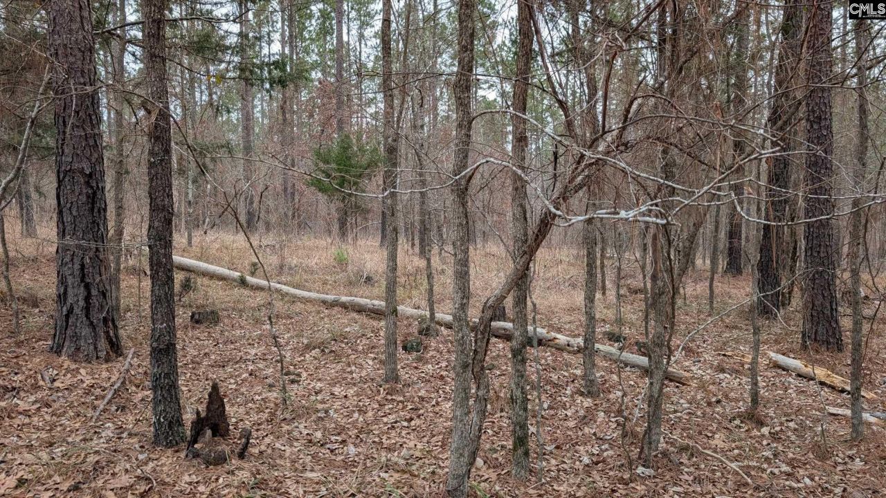 Lot 2 Retreat Way  Photo 9