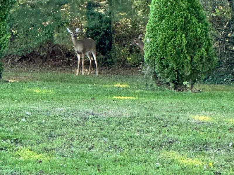 12580 W Bank Drive NE, Millersport, OH 43046 Photo 20