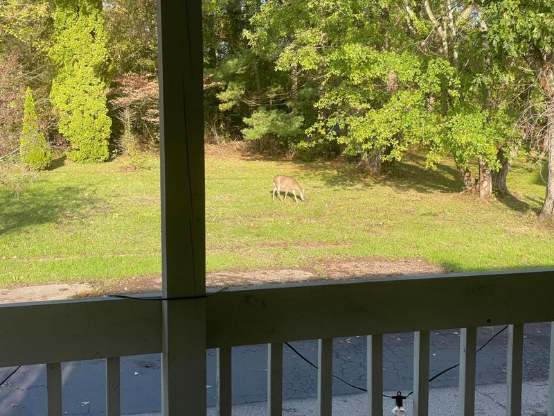 12580 W Bank Drive NE, Millersport, OH 43046 Photo 22