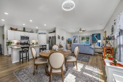 556 Carrick Loop photo 4