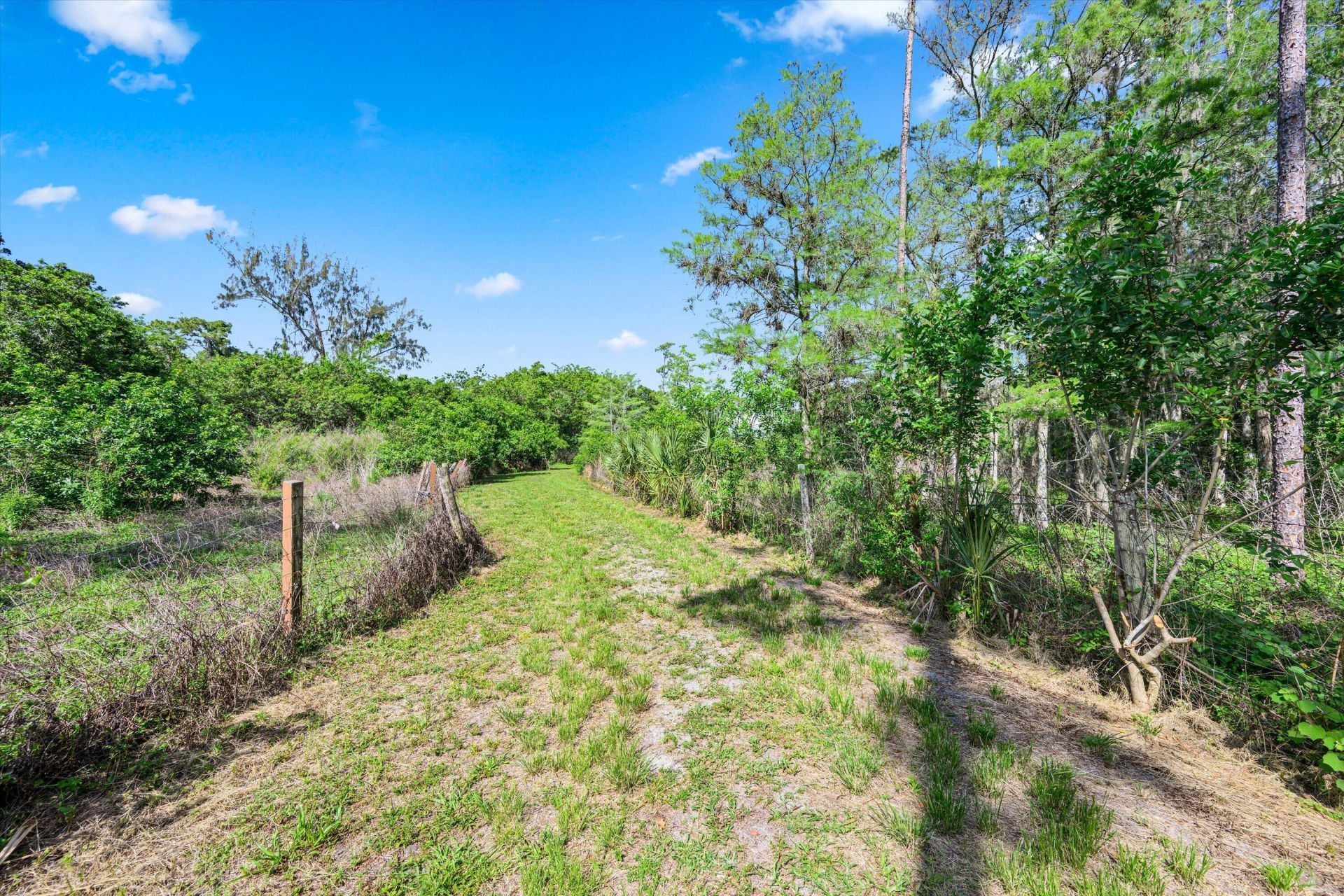1814 A Road, Loxahatchee Groves, FL 33470 Photo