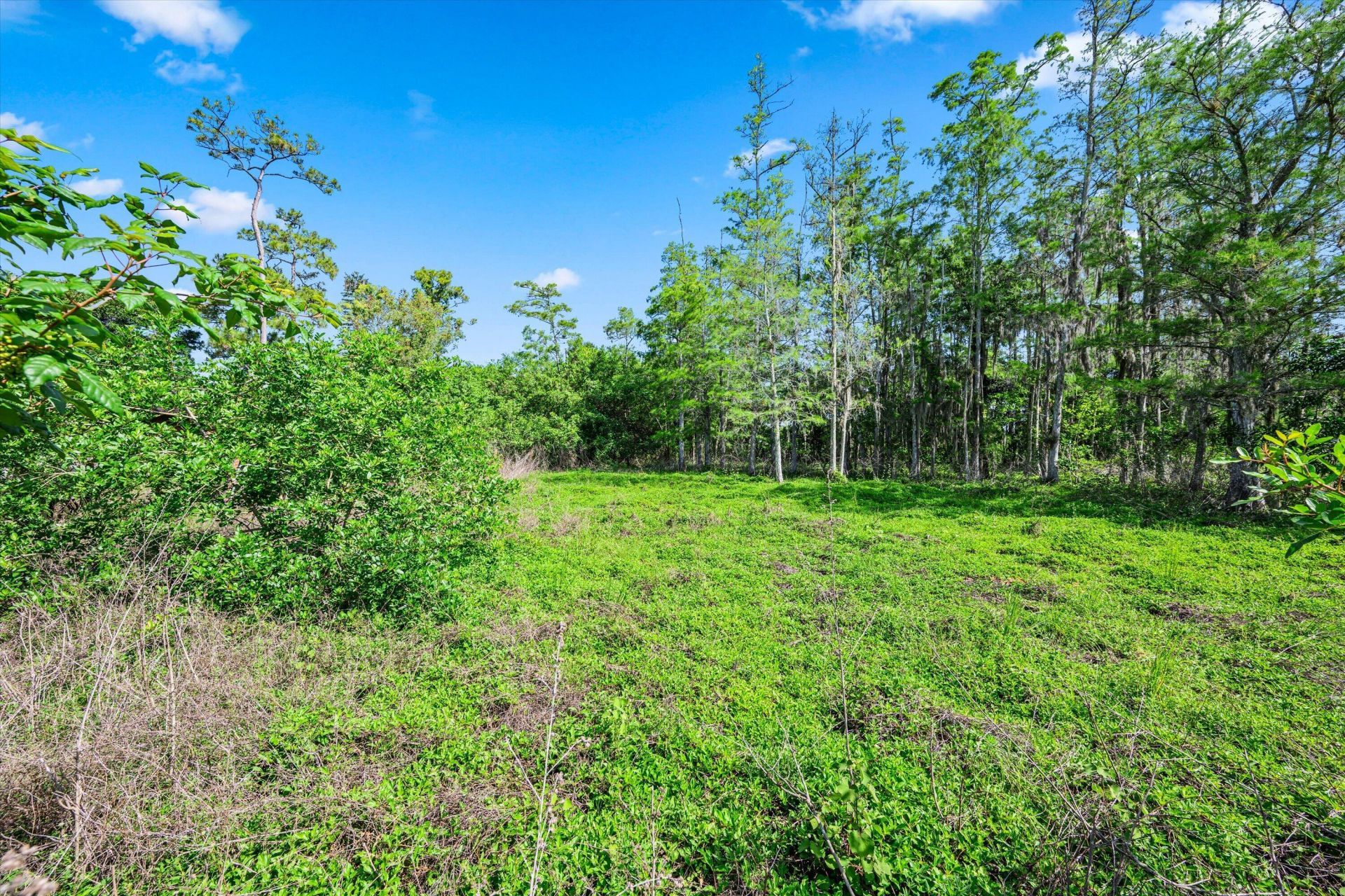 1814 A Road, Loxahatchee Groves, FL 33470 Photo