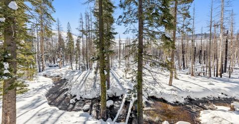 7770 Tamarack Pines Road, Twin Bridges, CA 95735 Photo