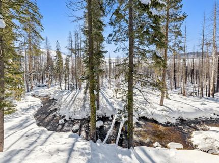 7770 Tamarack Pines Road, Twin Bridges, CA 95735 Photo