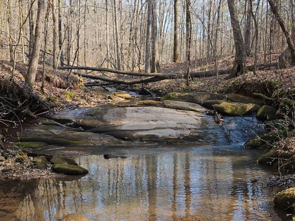 0 Old Zebulon Road, Zebulon, GA 30295