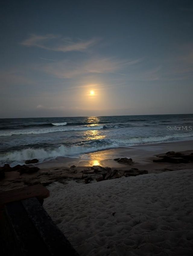 104 Surfview Drive, Unit 2204, Palm Coast, FL 32137 Photo
