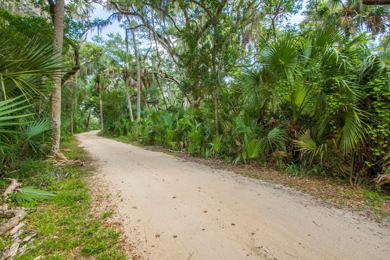 104 Surfview Drive, Unit 2204, Palm Coast, FL 32137 Photo