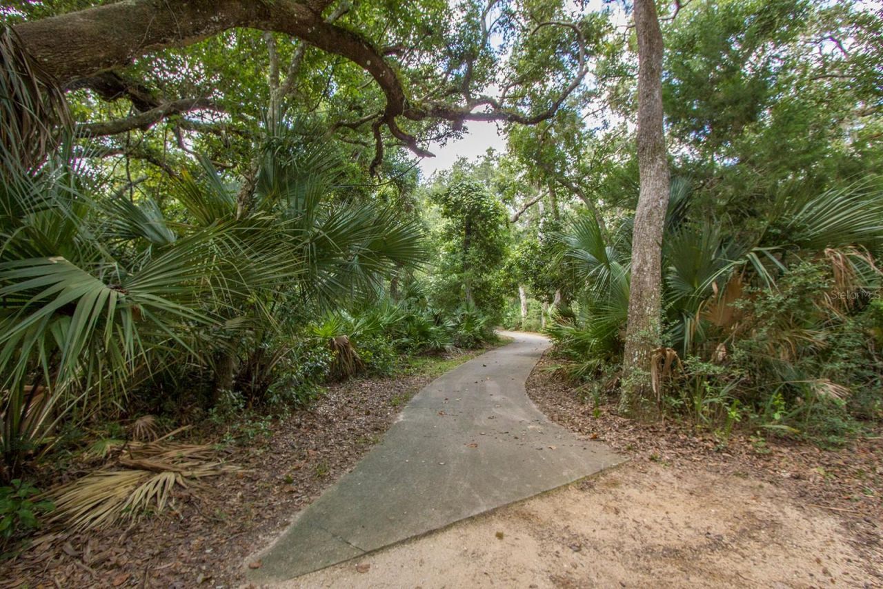 104 Surfview Drive, Unit 2204, Palm Coast, FL 32137 Photo