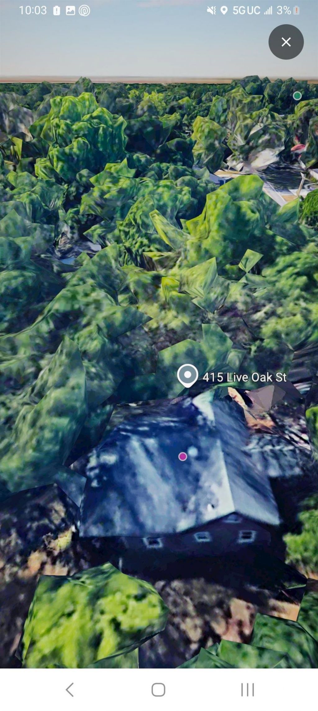 415 Live Oak St. Photo 10