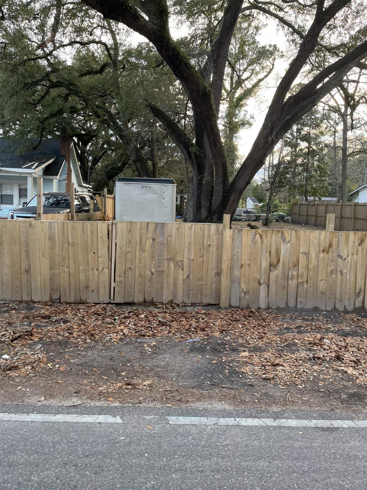 415 Live Oak St. Photo 18