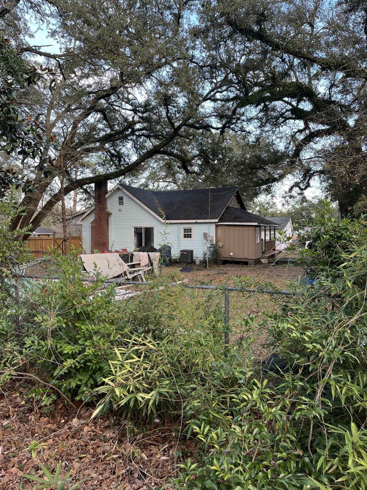 415 Live Oak St. Photo 19