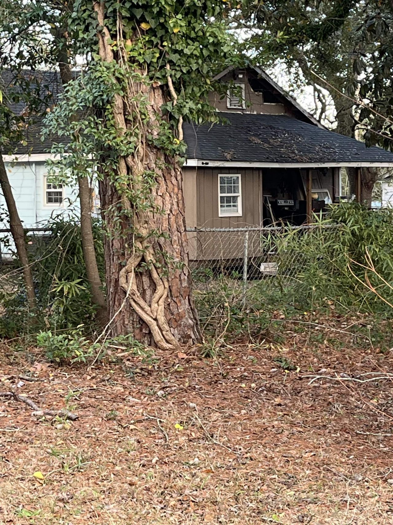 415 Live Oak St. Photo 21