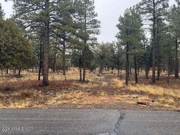2625 Roundup Lane, Unit 246, Happy Jack, AZ 86024