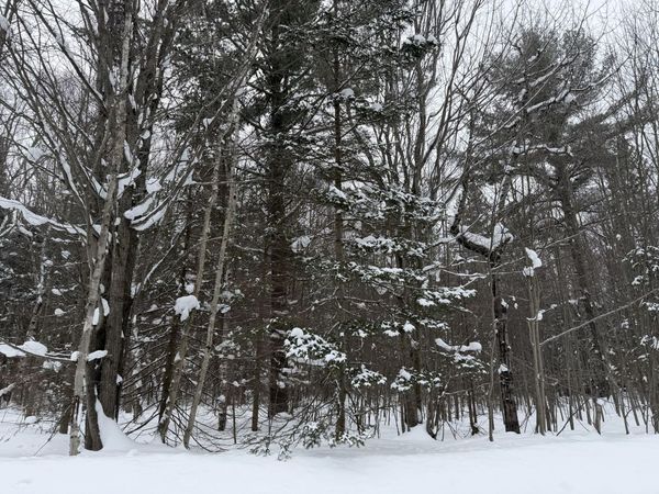 0000 South DR, Sault Ste Marie, MI 49783