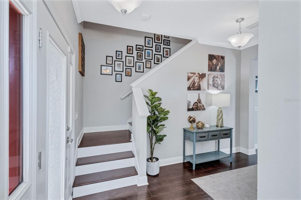 3412 W Cass Street, Tampa, FL 33609 Photo
