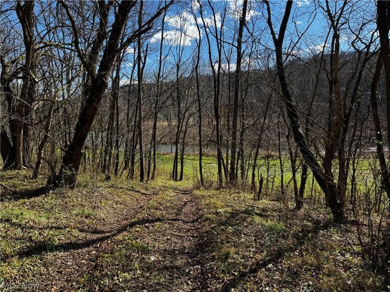 SR 148 & T 506, Powhatan Point, OH 43942 Photo 4
