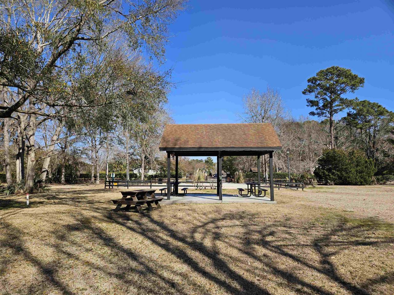 104 Wildflower Trail Photo 45