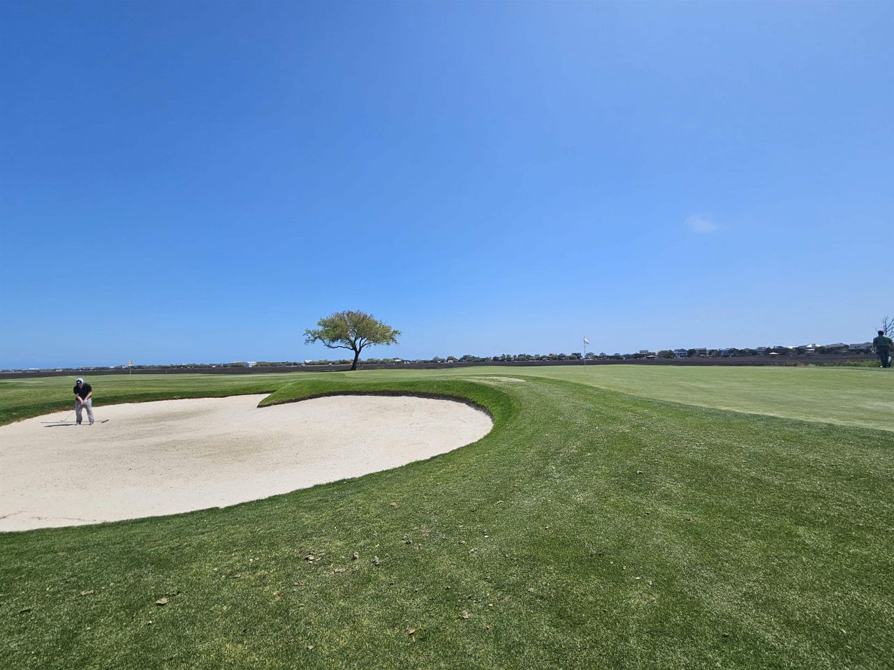 104 Wildflower Trail Photo 57