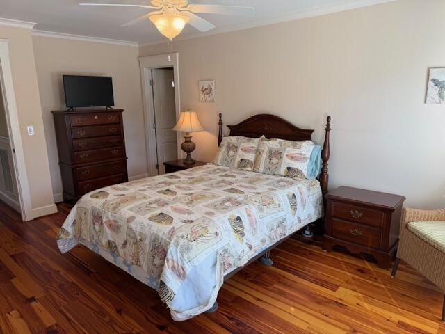 709 Jungle Road Photo 45