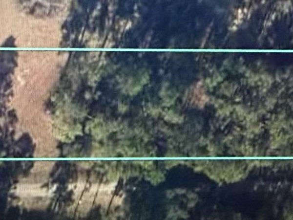 2875 Parrish Still Road, Vernon, FL 32462