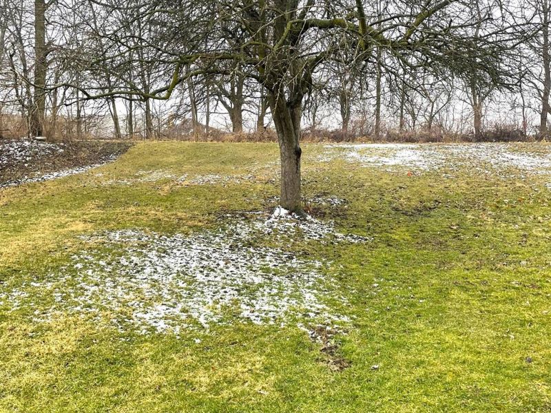 57 Brown Street, Milford Center, OH 43045 Photo 11