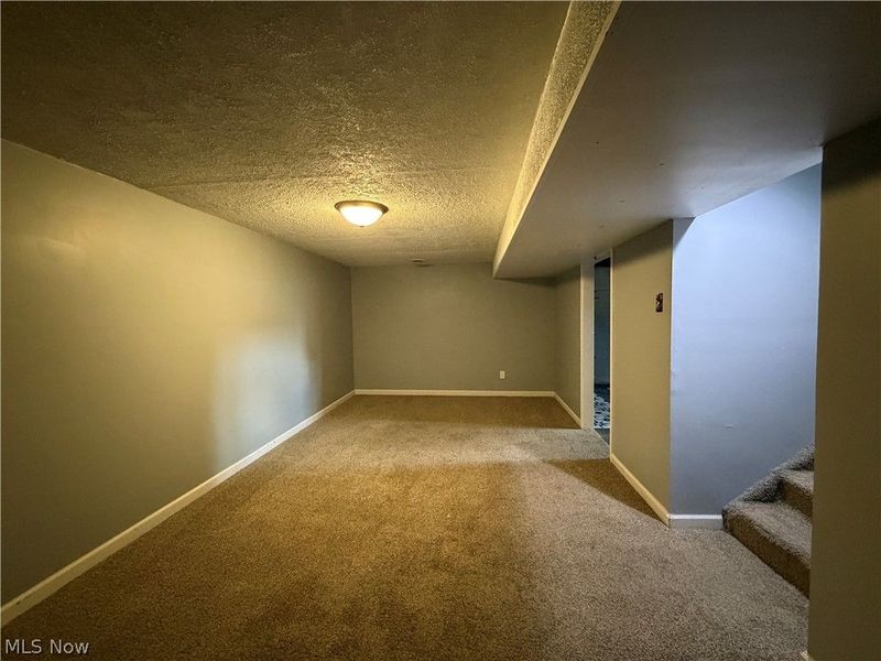 317 S King Street, West Lafayette, OH 43845 Photo 12