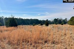 159 Claude Counts Road photo 4