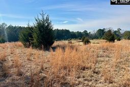 159 Claude Counts Road photo 4