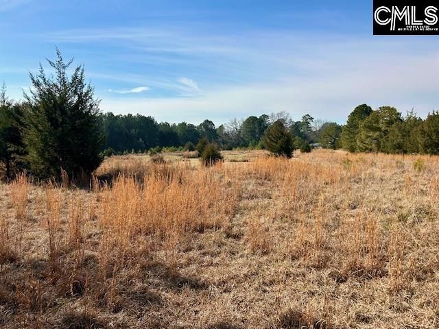 159 Claude Counts Road Photo 4