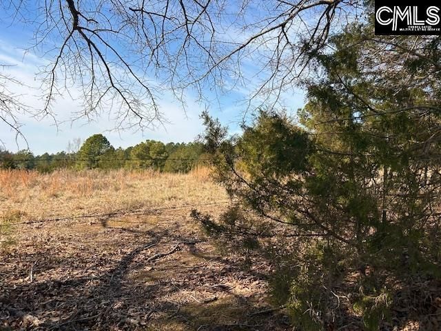 159 Claude Counts Road Photo 5