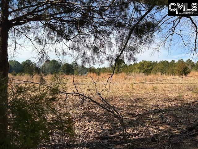 159 Claude Counts Road Photo 6