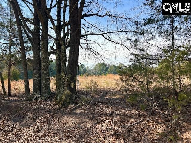 159 Claude Counts Road Photo 7