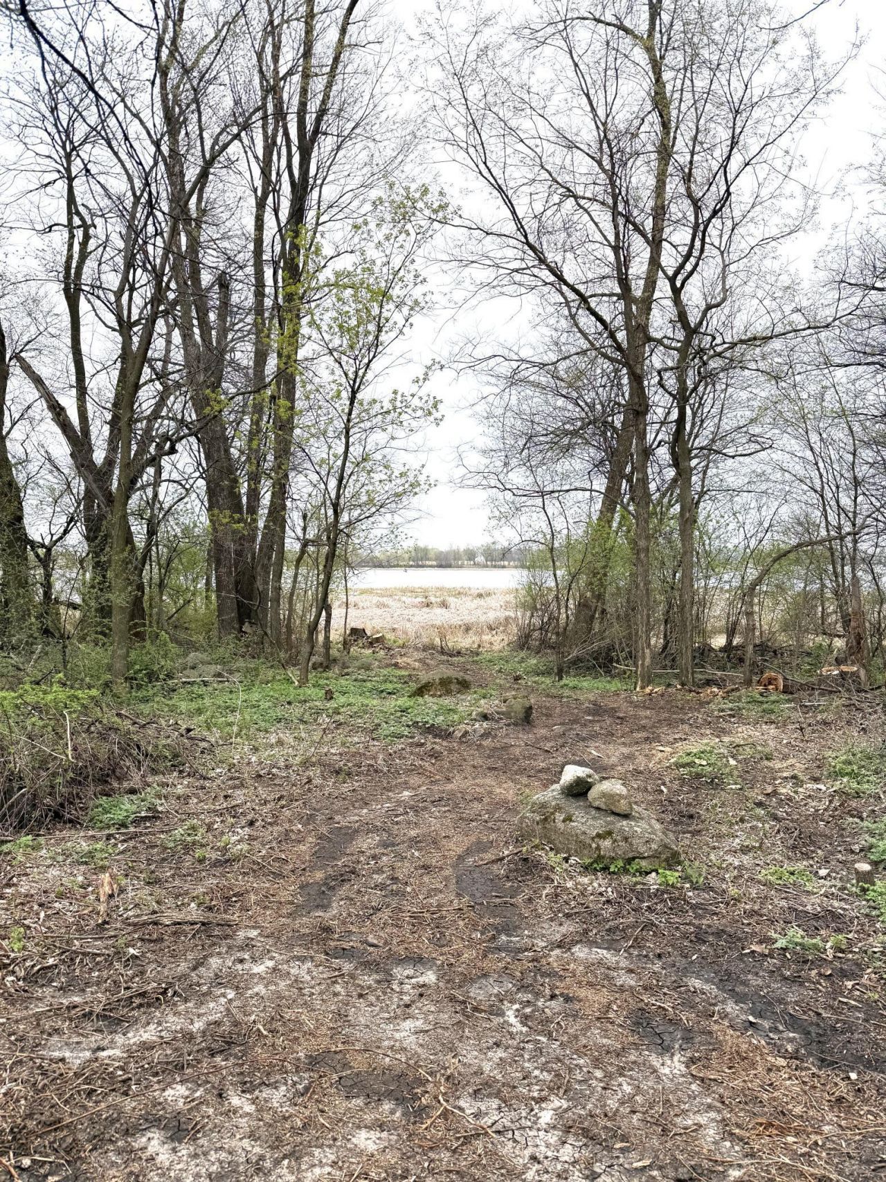 11365 Platt Avenue Sw, Cokato, MN 55321 Main Photo