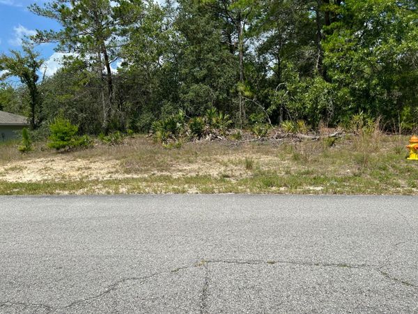 6876 N Sandborn Loop, Citrus Springs, FL 34433