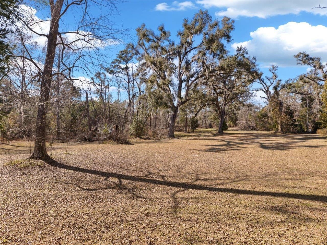 3639 N Sr 53 , Madison, FL 32340 Photo