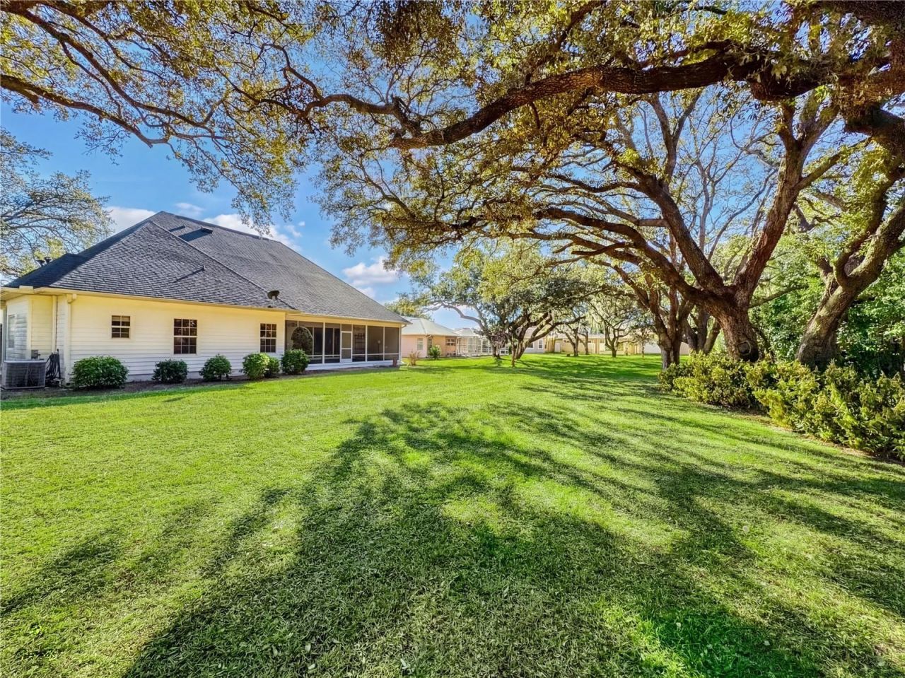 2903 Larranaga Drive, The Villages, FL 32162 Photo