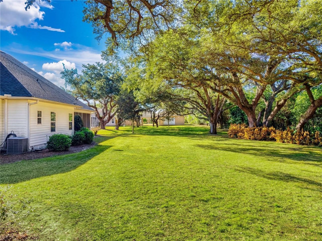 2903 Larranaga Drive, The Villages, FL 32162 Photo