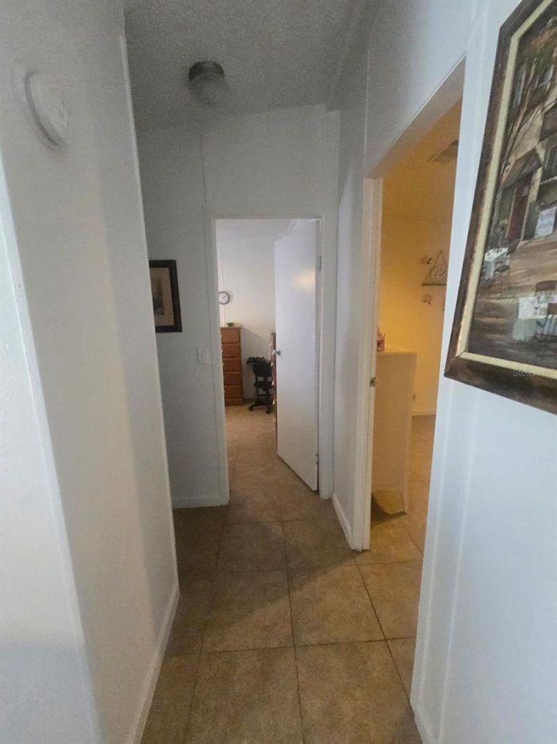 6106 Mangrove Drive, Wesley Chapel, FL 33544 Photo