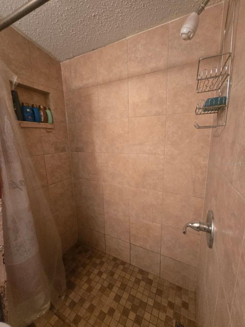 6106 Mangrove Drive, Wesley Chapel, FL 33544 Photo