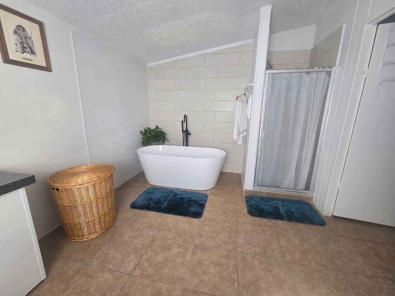 6106 Mangrove Drive, Wesley Chapel, FL 33544 Photo