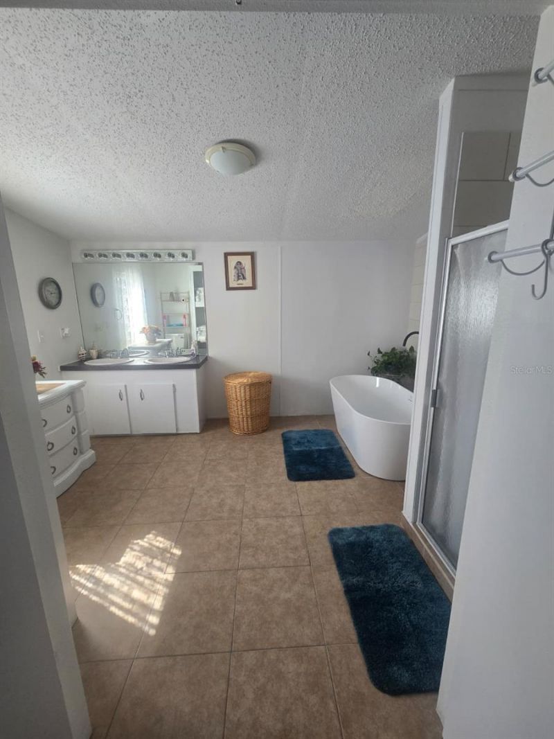 6106 Mangrove Drive, Wesley Chapel, FL 33544 Photo